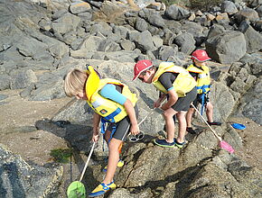 Agrandir l'image (fen&ecirc;tre modale)